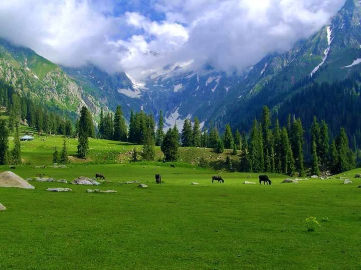 Naran Valley