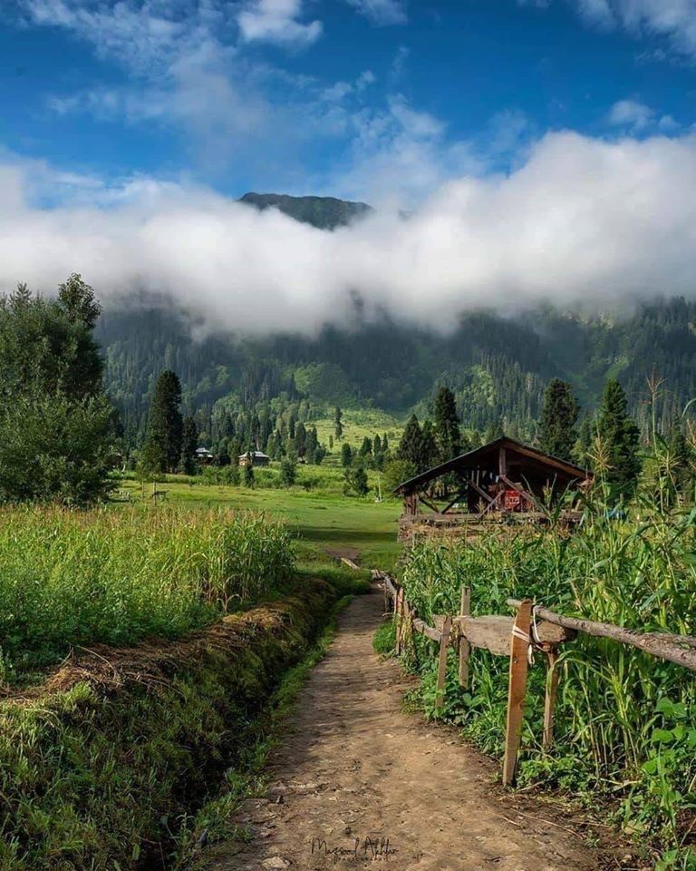 03 Days Group Tour-Neelum Valley